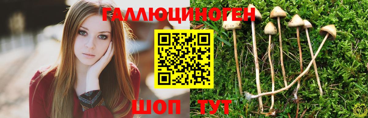 Галлюциногенные грибы ЛСД  Вход с VPN  Черногорск 