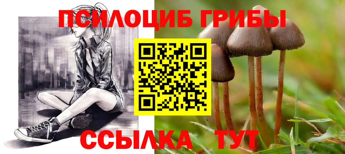 Псилоцибиновые грибы Magic Shrooms Черногорск